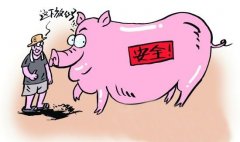 動物疫病診斷的方法有哪些？