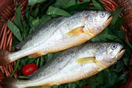 黑魚中檢測出孔雀石綠超標(biāo)，黃魚中檢測出氧氟沙星超標(biāo)