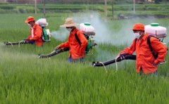 農(nóng)藥殘留檢測儀檢測速度快嗎？