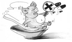 獸藥殘留的來源通常有哪些？