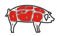 病害肉檢測儀讓老百姓吃上放心肉！