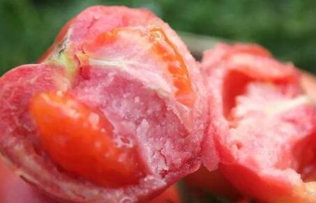 食品安全檢測(cè)儀