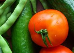 配備食品安全檢測儀有何必要性？